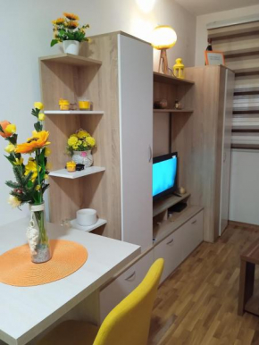 Apartment ANA1